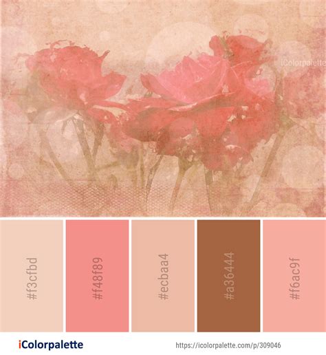Brown chocolate and peach color combination peach color palette – Artofit