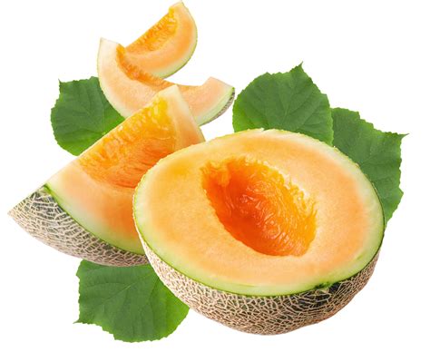 Melon – Best Agro