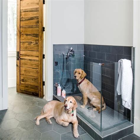 Dogs Have Their Own Showers Now (and We Really Want One in Our House ...