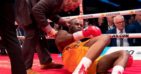 ‘Boxing should be abolished’: Adonis Stevenson knockout prompts concern in medical community ...