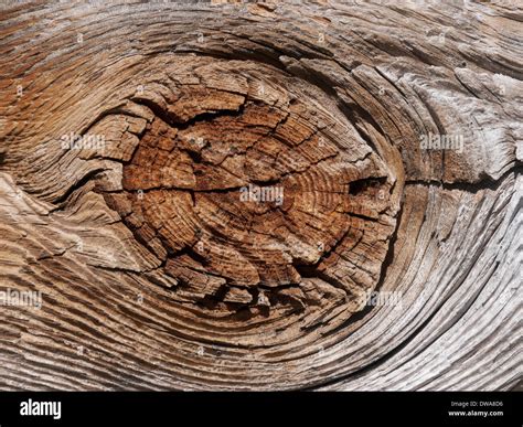 knot in wood Stock Photo - Alamy