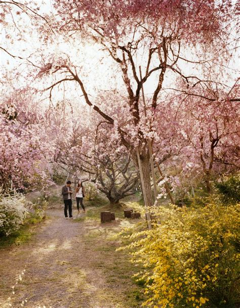 Kyoto travel - Lonely Planet | Japan, Asia