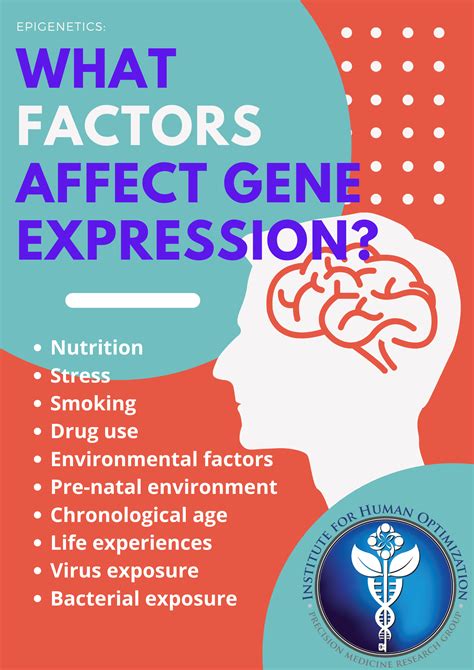 Epigenetics: How to Control Your Gene Expression - The Institute for Human Optimization