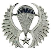 CHILEAN JUMP WING BADGE | North Bay Listings