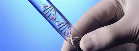 Genetic testing; the process involved in it | Seaman Site