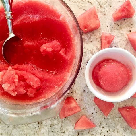 ONE Ingredient All Natural Sorbet - A Snack to Feel Good About!