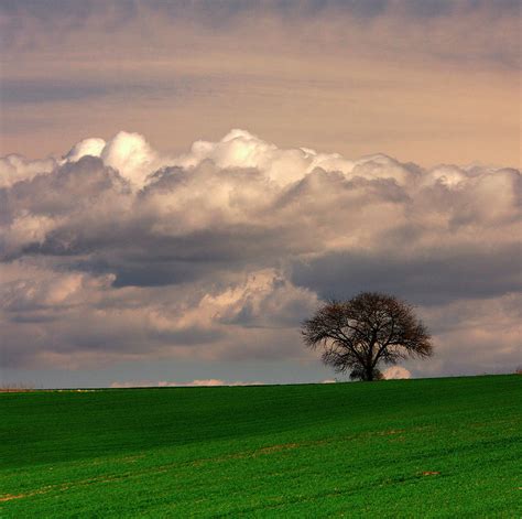 Landscape With Clouds Photograph by Tozofoto - Fine Art America