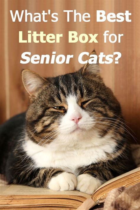 Safecat litter seniors - littleplora