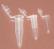 0.2 Ml Centrifuge Tubes Microcentrifuge Microtube, Pack of 1000 ...