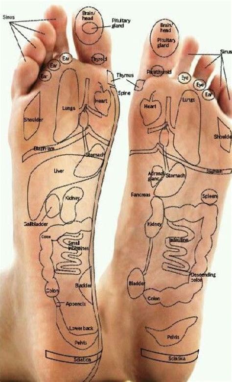 Reflexology Pressure Points, Healing Reflexology, Reflexology Chart ...