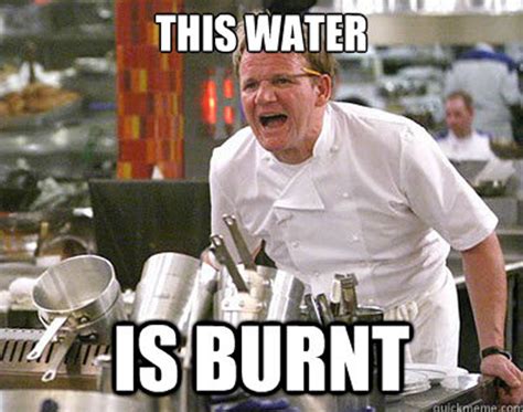 The Best Of The Chef Ramsay Meme | Gordon ramsay funny, Funny p, Gordon ...