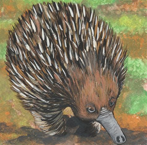 Echidna Echidna Print Echidna Wall Art Echidna Art Echidna | Etsy