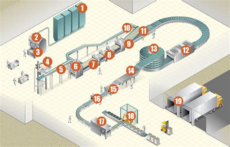 Industrial Baking Process Map Cookie Cracker