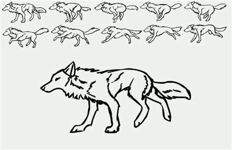 Basic Wolf Run Cycle | Animated drawings, Animation, Animal drawings