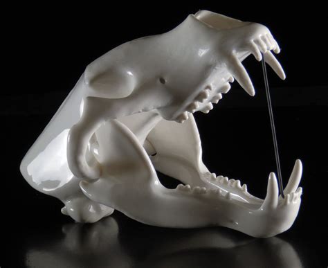 Bear Skull 3D Print | Bear skull, Etsy, 3d printing