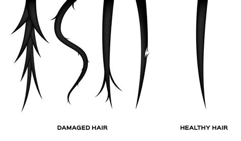 6 Types Of Hair Damage | Cause, Identification, And How To Fix Them - Hair Everyday Review