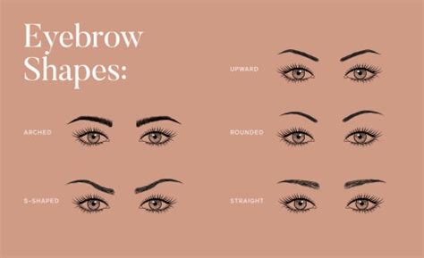 Eyebrow Shapes, Explained + Expert Tips To Style Yours | mindbodygreen