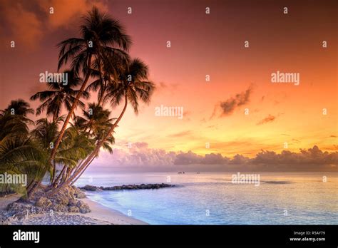 Caribbean, Barbados, Mullins Beach Stock Photo - Alamy