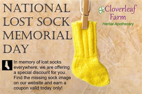 National Lost Sock Memorial Day: Join our Fun Sock Hunt