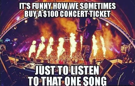 These Concert Memes Will Bring You Back To When Concerts Were A Thing - In The Flesh | Memes