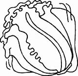 Lettuce Coloring Pages  Best For Kids sketch template