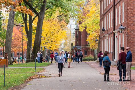 Harvard Campus in Fall Photograph by Jannis Werner - Fine Art America