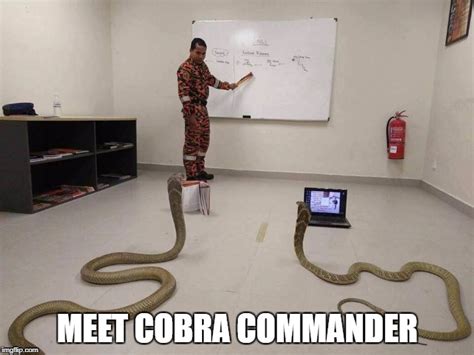 Meet Cobra Commander - Imgflip