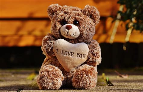 Free Images : cute, love, heart, teddy bear, textile, affection, friends, bears, funny, plush ...
