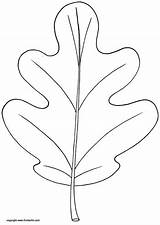 Oak Leaves Coloring Pages Printable Sketch Page sketch template