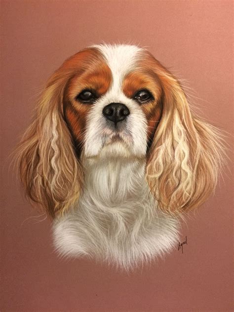 How To Paint A Cavalier King Charles Spaniel - Shih Tzu Dog