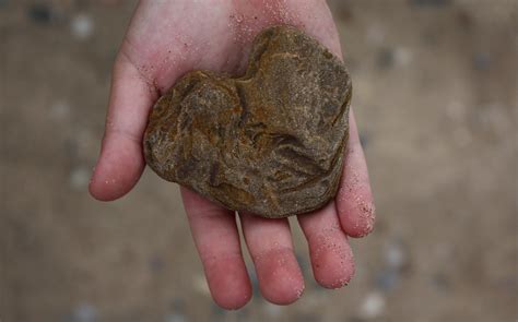 Heart In Hand | A stone found on a Lake Michigan beach in th… | Flickr