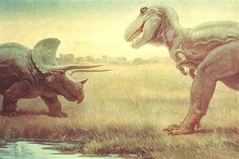 Illustration of Triceratops versus T. Rex - Photo: Field Museum ...