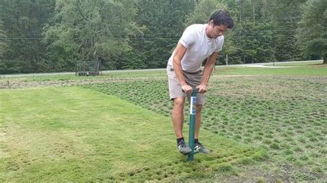 Planting Grass Plugs from Sod | ProPlugger