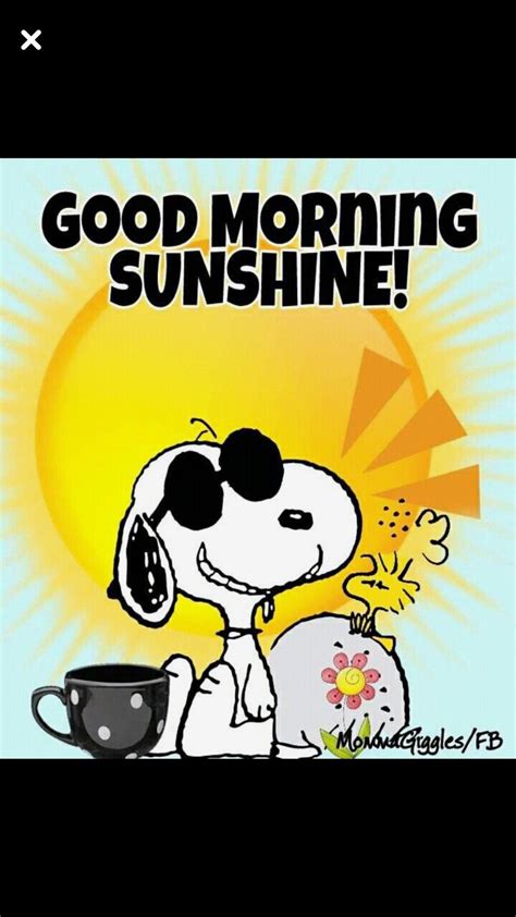 Pin by Amanda Daigle on Snoopy | Good morning sunshine, Funny good morning memes, Good morning ...