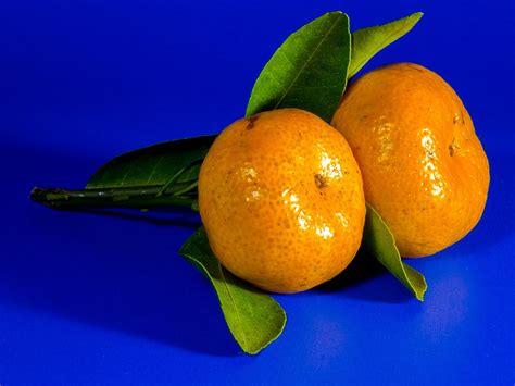 Orange Mandarin Fruit Citrus · Free photo on Pixabay