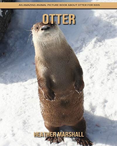 Otter: An Amazing Animal Picture Book about Otter for Kids by Heather Marshall | Goodreads