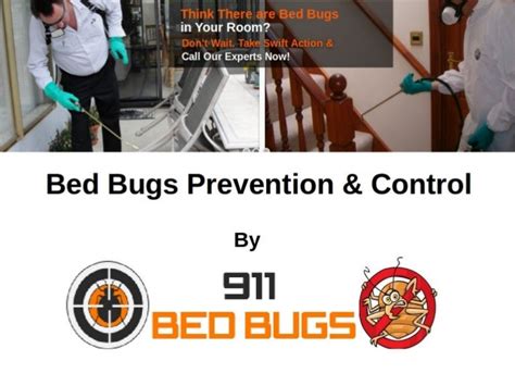 Bed Bugs Prevention & Control