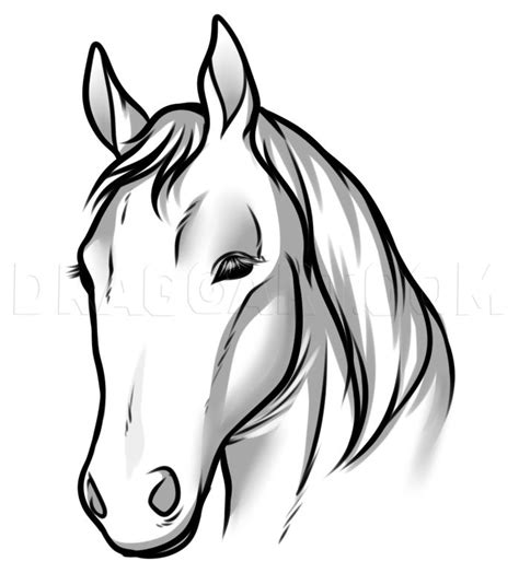 a drawing of a horse's head in black and white with long manes