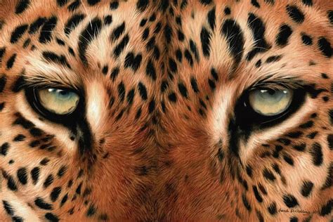 Leopard Eyes Canvas Wall Art by Sarah Stribbling | iCanvas