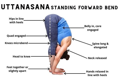 Uttanasana (Standing Forward Bend): Steps, Benefits, Variations & More ...