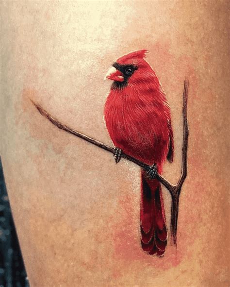 Cardinal Tattoo Design Images (Cardinal Ink Design Ideas) Cardnial Tattoo, Bicep Tattoo Men, Ems ...