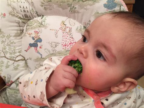baby_broccoli - Family Style Nutrition