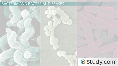 Pathogens | Definition, Types & Examples - Lesson | Study.com