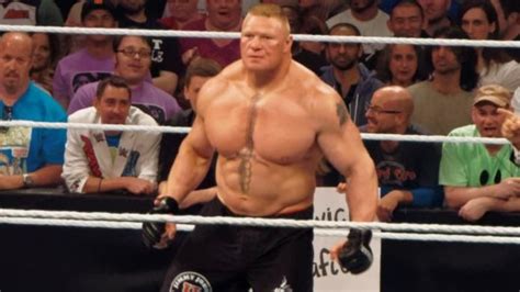 WWE Universal Champion Seth Rollins Vs. Brock Lesnar Reportedly Planned ...