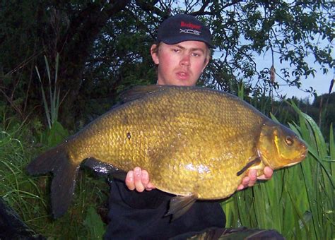 West Pond Bream Record | FishingMagic