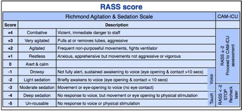 RASS score - INTENSIVE