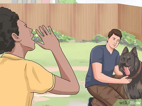 How to Train a Dog to Come (with Pictures) - wikiHow