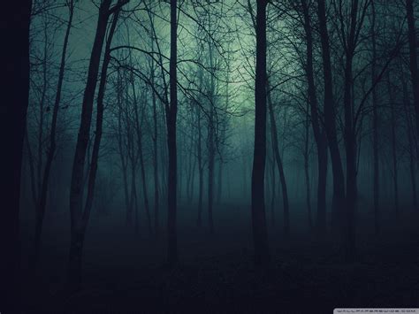 Dark Forest 4K Ultra HD Wallpapers - Top Free Dark Forest 4K Ultra HD Backgrounds - WallpaperAccess