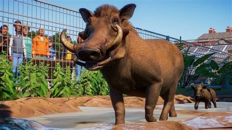 'Planet Zoo' And Other Simulation Games That Beat Real Life : NPR