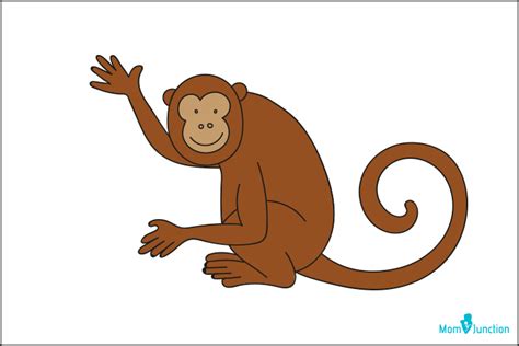 How To Draw A Monkey: A Step-By-Step Tutorial